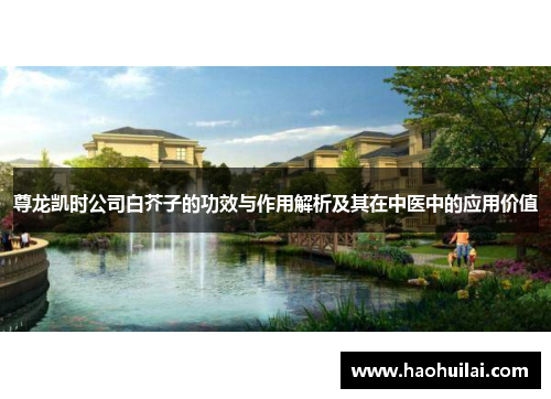 尊龙凯时公司白芥子的功效与作用解析及其在中医中的应用价值