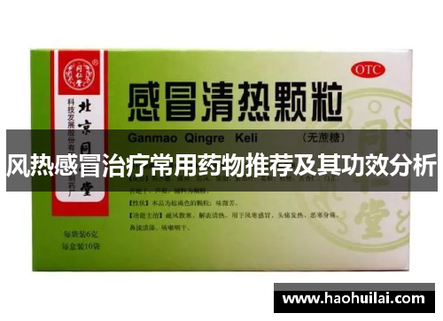 风热感冒治疗常用药物推荐及其功效分析