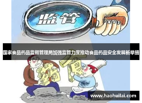 国家食品药品监督管理局加强监管力度推动食品药品安全发展新举措