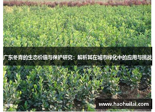 广东冬青的生态价值与保护研究：解析其在城市绿化中的应用与挑战