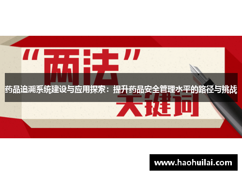 药品追溯系统建设与应用探索：提升药品安全管理水平的路径与挑战