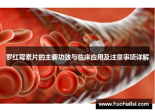 罗红霉素片的主要功效与临床应用及注意事项详解