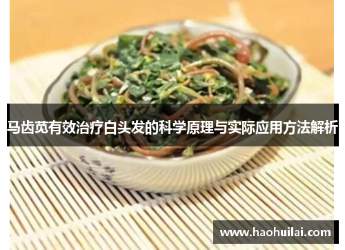 马齿苋有效治疗白头发的科学原理与实际应用方法解析